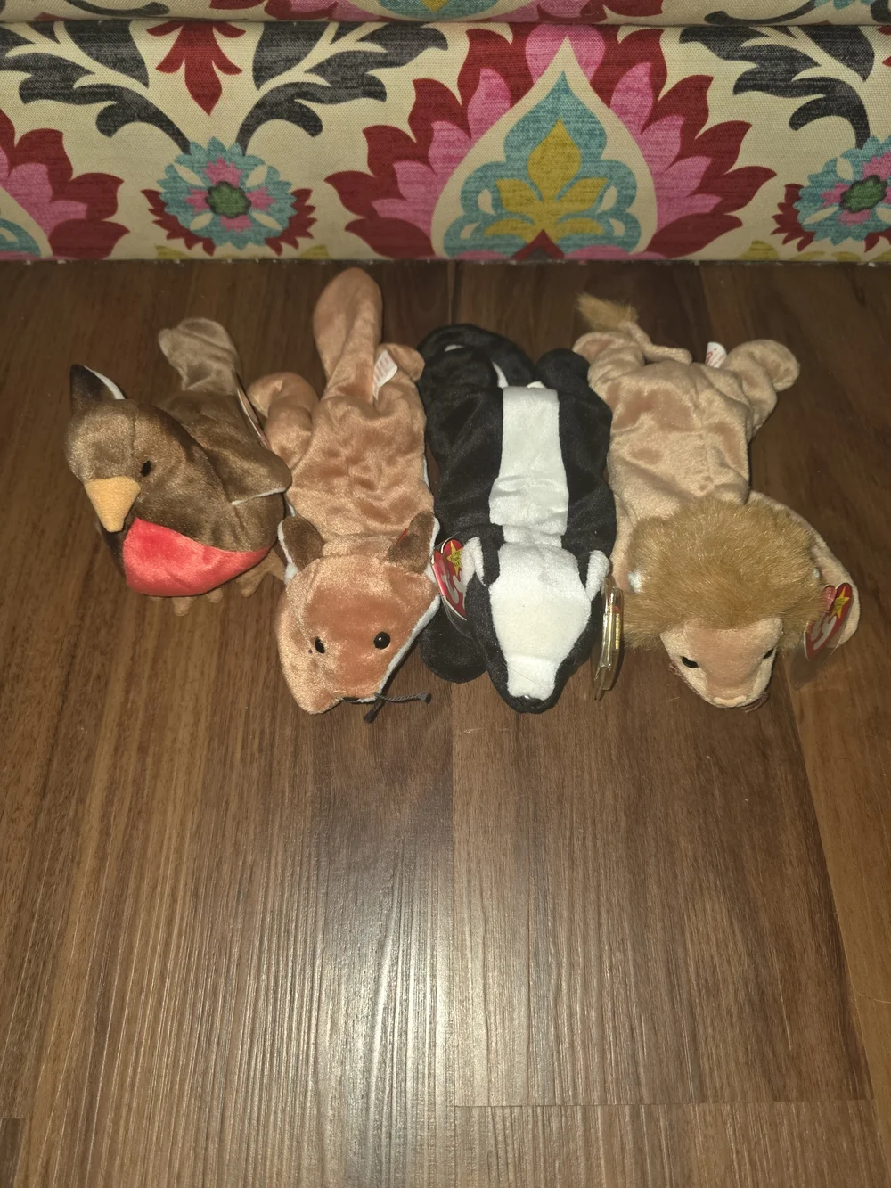 Ty Plush Small Pets Set - Brown, Black, Cream, Red Accents